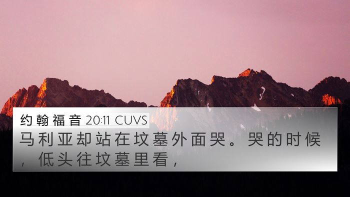 约 翰 福 音 20:11 CUVS Bible Verse Image