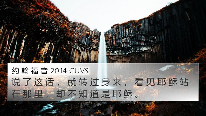 约 翰 福 音 20:14 CUVS Bible Verse Image