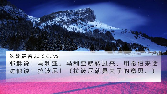 约 翰 福 音 20:16 CUVS Bible Verse Image