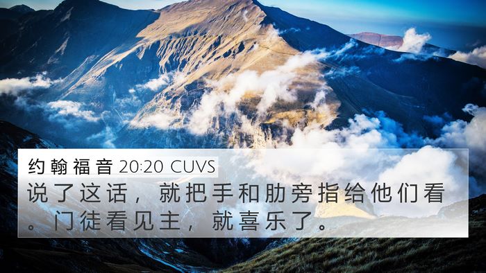 约 翰 福 音 20:20 CUVS Bible Verse Image