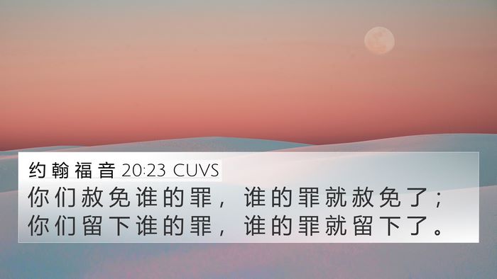 约 翰 福 音 20:23 CUVS Bible Verse Image