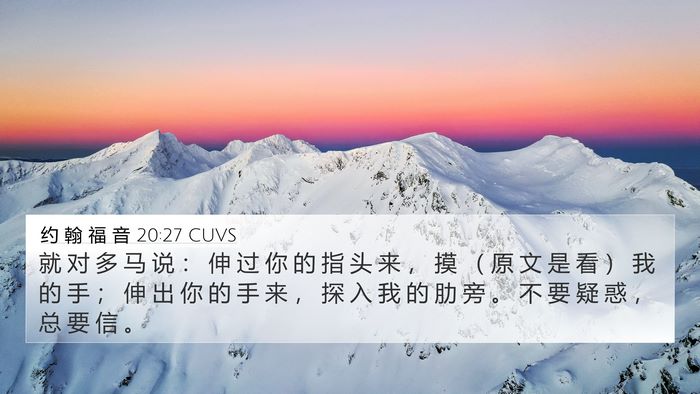 约 翰 福 音 20:27 CUVS Bible Verse Image