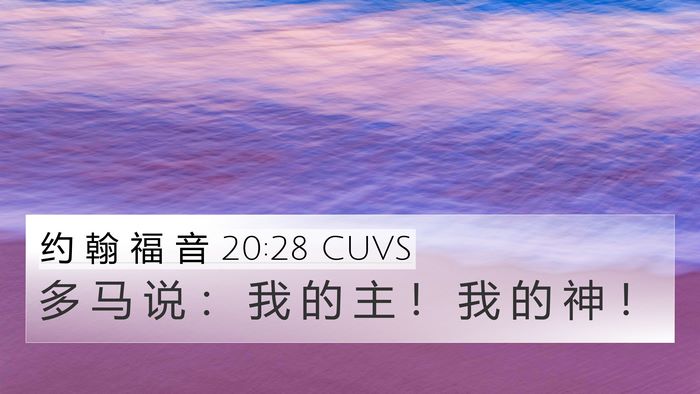约 翰 福 音 20:28 CUVS Bible Verse Image