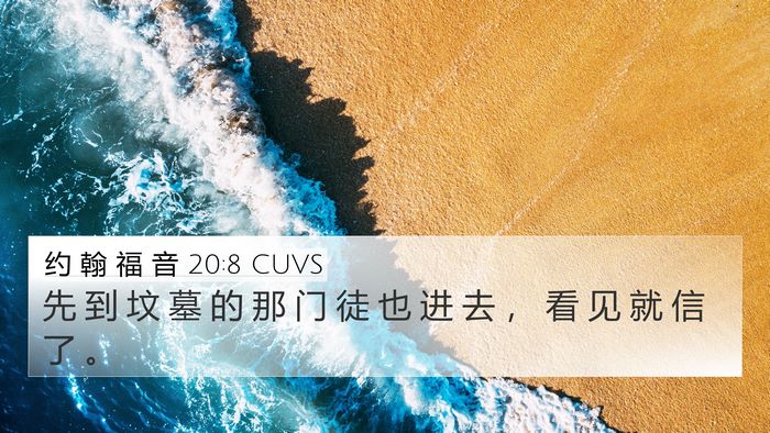 约 翰 福 音 20:8 CUVS Bible Verse Image