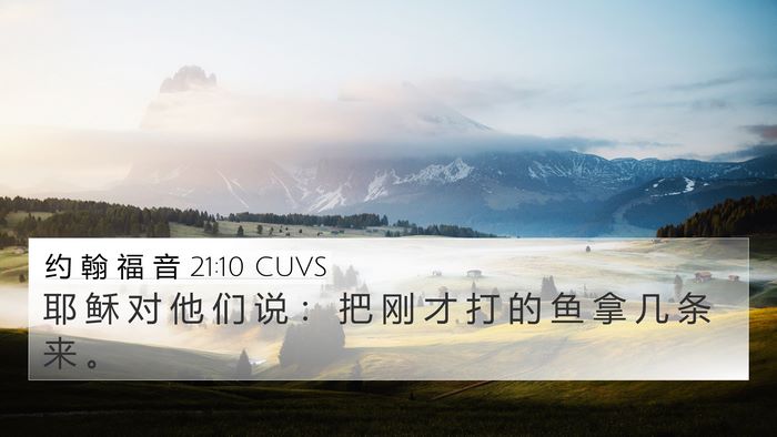 约 翰 福 音 21:10 CUVS Bible Verse Image