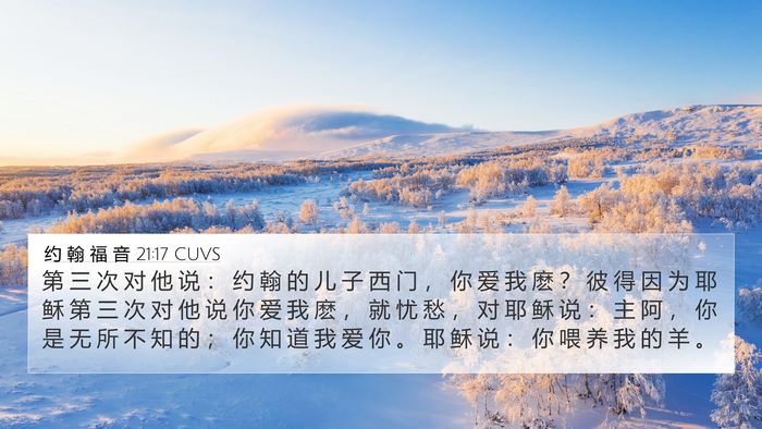 约 翰 福 音 21:17 CUVS Bible Verse Image