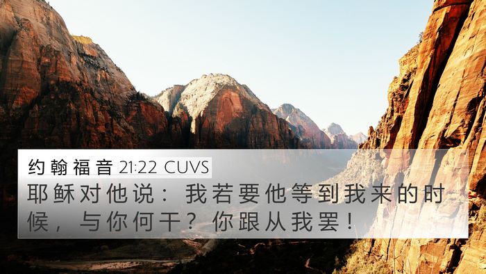 约 翰 福 音 21:22 CUVS Bible Verse Image