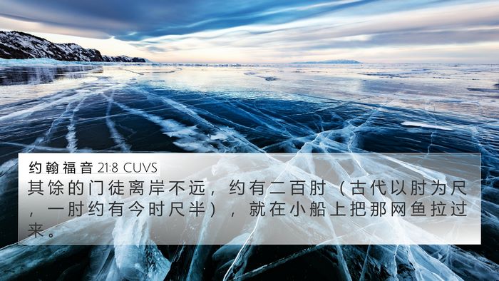 约 翰 福 音 21:8 CUVS Bible Verse Image