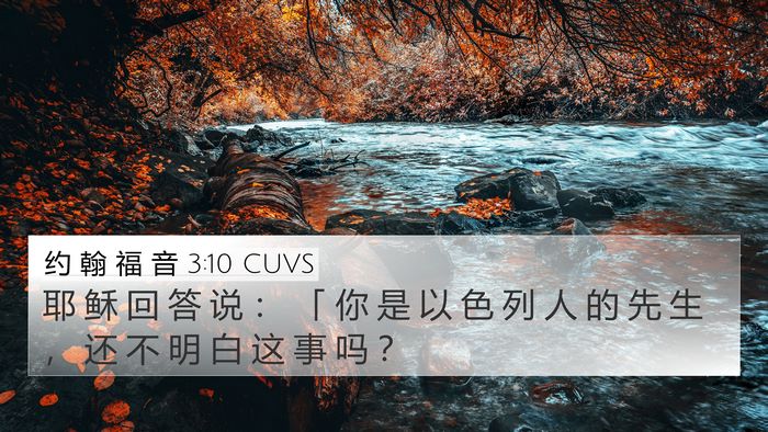 约 翰 福 音 3:10 CUVS Bible Verse Image