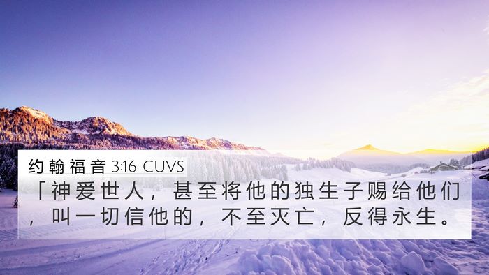 约 翰 福 音 3:16 CUVS Bible Verse Image