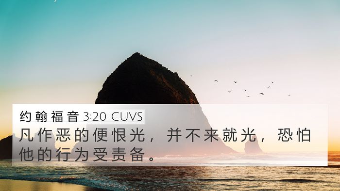 约 翰 福 音 3:20 CUVS Bible Verse Image