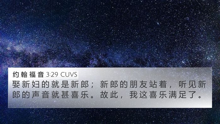 约 翰 福 音 3:29 CUVS Bible Verse Image