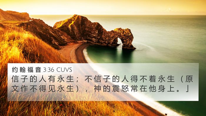 约 翰 福 音 3:36 CUVS Bible Verse Image
