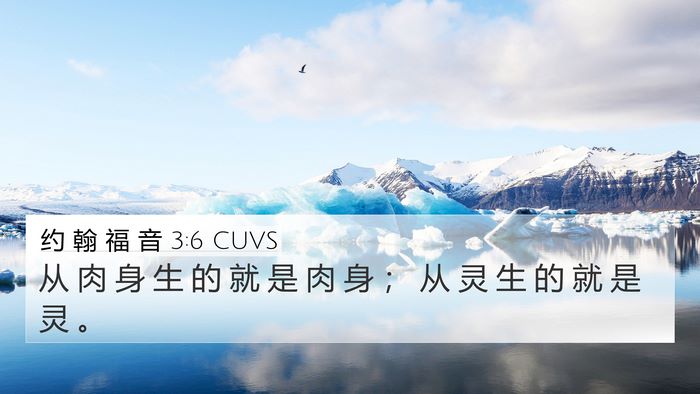 约 翰 福 音 3:6 CUVS Bible Verse Image