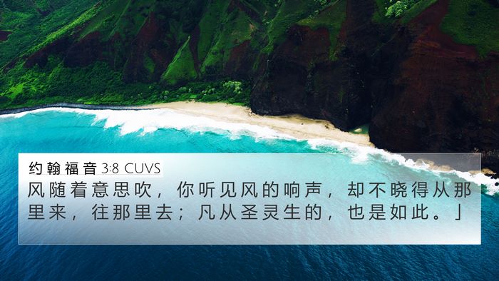 约 翰 福 音 3:8 CUVS Bible Verse Image