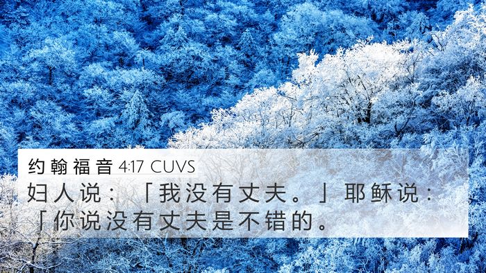 约 翰 福 音 4:17 CUVS Bible Verse Image