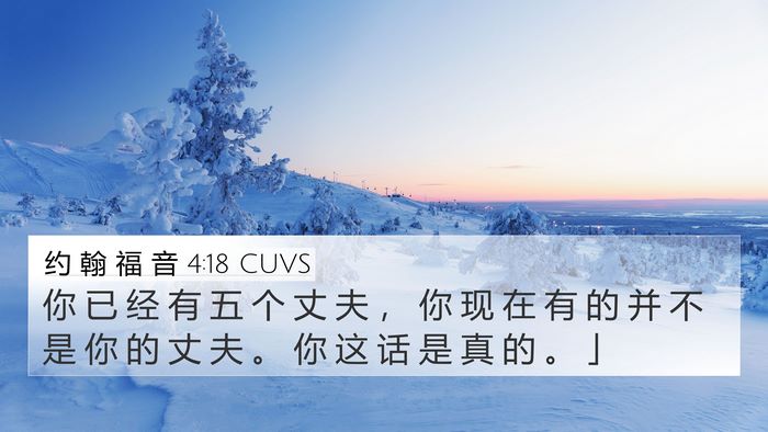 约 翰 福 音 4:18 CUVS Bible Verse Image
