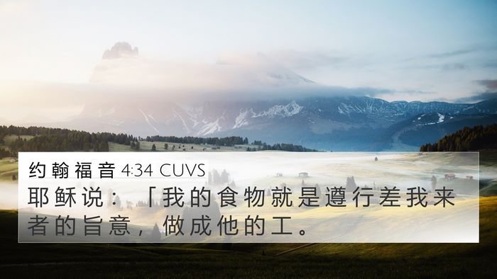 约 翰 福 音 4:34 CUVS Bible Verse Image