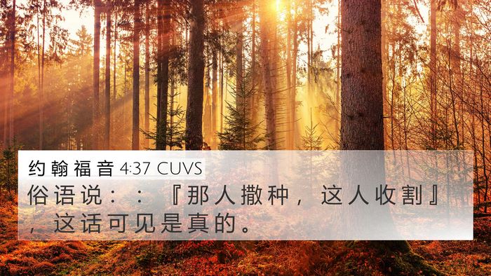 约 翰 福 音 4:37 CUVS Bible Verse Image