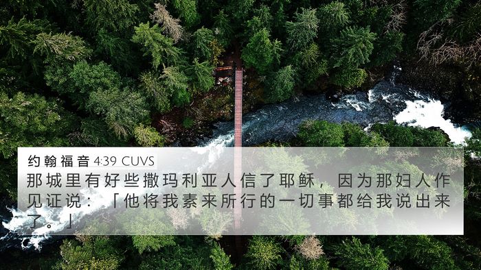 约 翰 福 音 4:39 CUVS Bible Verse Image