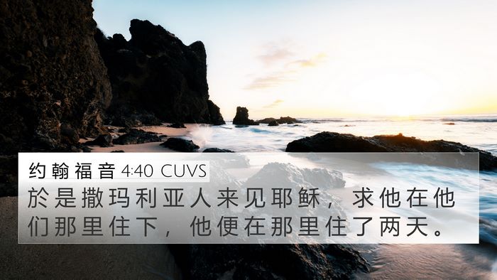 约 翰 福 音 4:40 CUVS Bible Verse Image