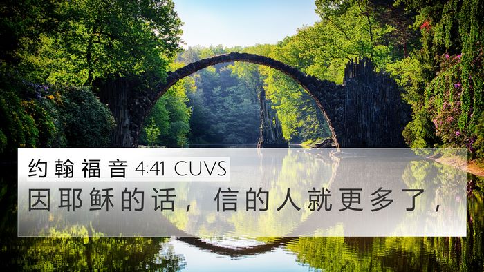 约 翰 福 音 4:41 CUVS Bible Verse Image