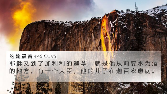 约 翰 福 音 4:46 CUVS Bible Verse Image