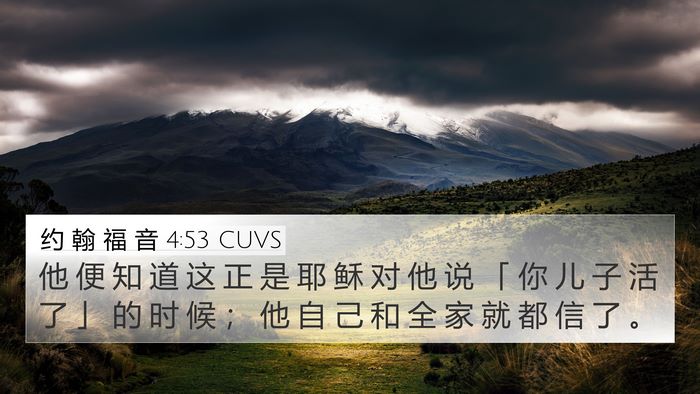 约 翰 福 音 4:53 CUVS Bible Verse Image
