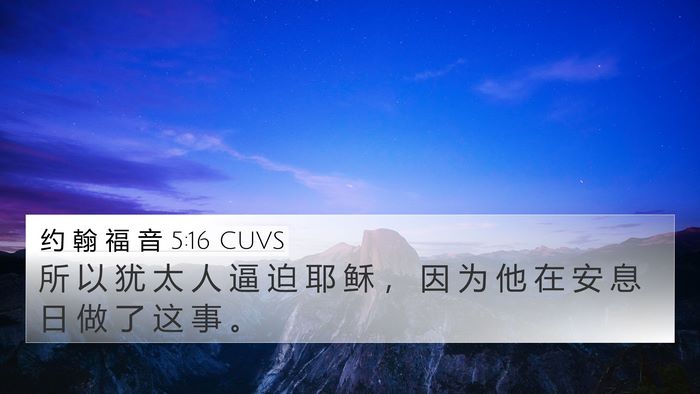 约 翰 福 音 5:16 CUVS Bible Verse Image