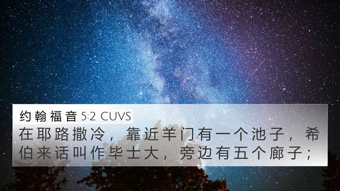 约 翰 福 音 5:2 CUVS Bible Verse Image