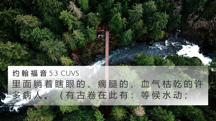 约 翰 福 音 5:3 CUVS Bible Verse Image