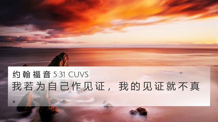 约 翰 福 音 5:31 CUVS Bible Verse Image