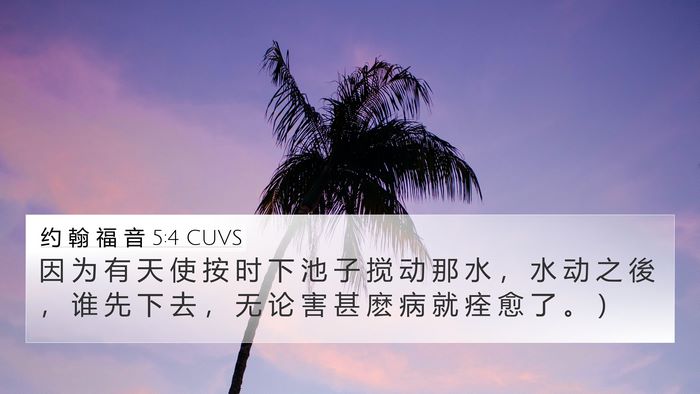 约 翰 福 音 5:4 CUVS 4K Wallpaper - 因 为 有 天 使 按 时 下 池 子 搅 动 - 4K Wallpaper Bible Verse
