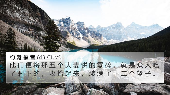 约 翰 福 音 6:13 CUVS Bible Verse Image