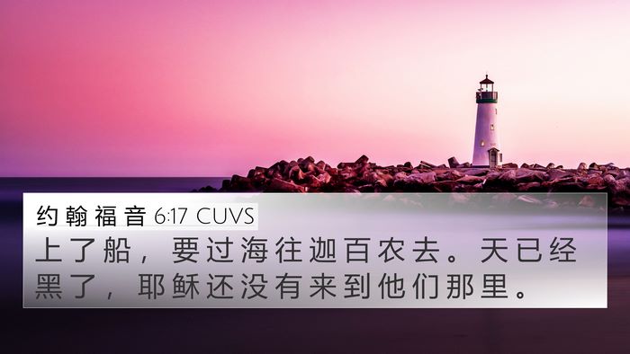 约 翰 福 音 6:17 CUVS Bible Verse Image