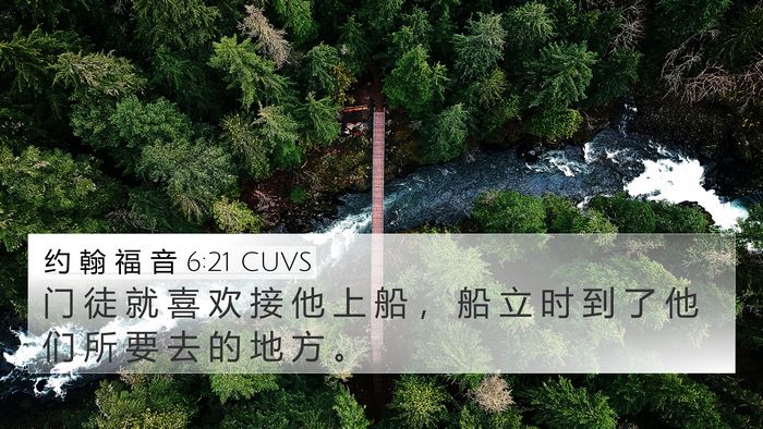 约 翰 福 音 6:21 CUVS Bible Verse Image