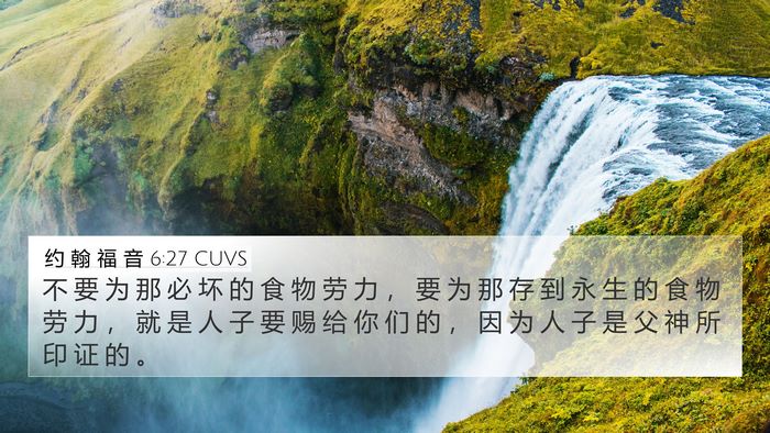 约 翰 福 音 6:27 CUVS Bible Verse Image