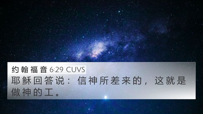 约 翰 福 音 6:29 CUVS Bible Verse Image