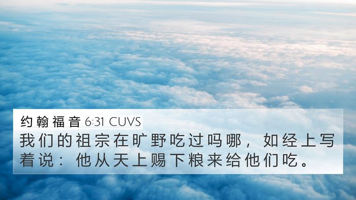 约 翰 福 音 6:31 CUVS Bible Verse Image