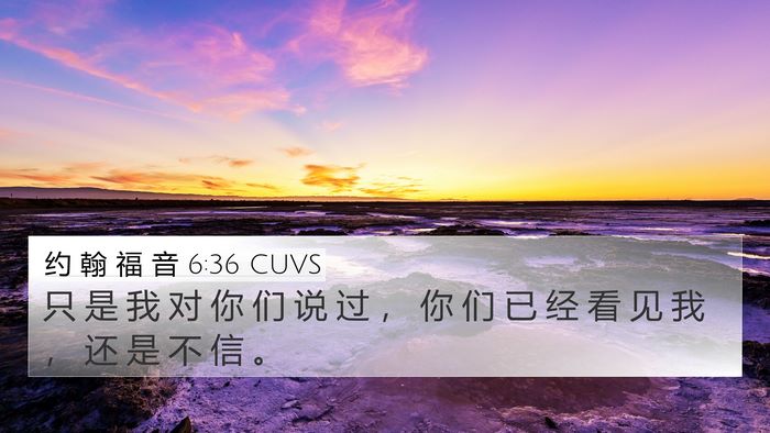 约 翰 福 音 6:36 CUVS 4K Wallpaper - 只 是 我 对 你 们 说 过 ， 你 们 已 - 4K Wallpaper Bible Verse