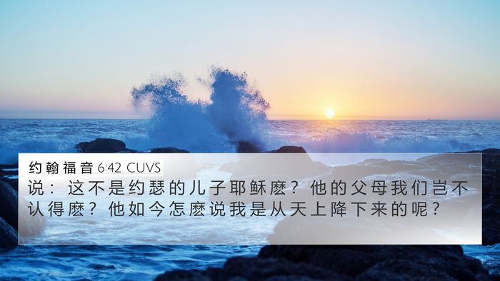 约 翰 福 音 6:42 CUVS Bible Verse Image