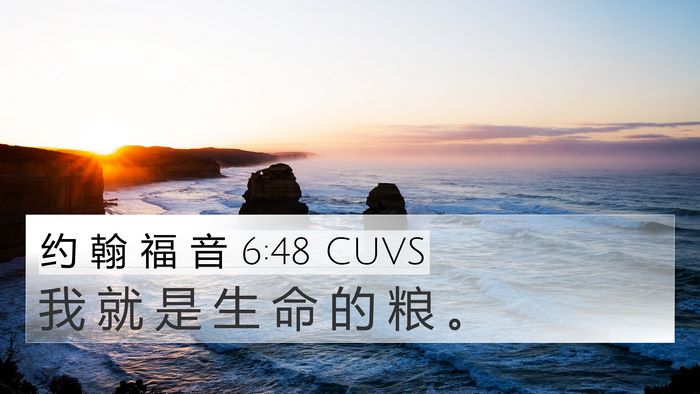 约 翰 福 音 6:48 CUVS Bible Verse Image