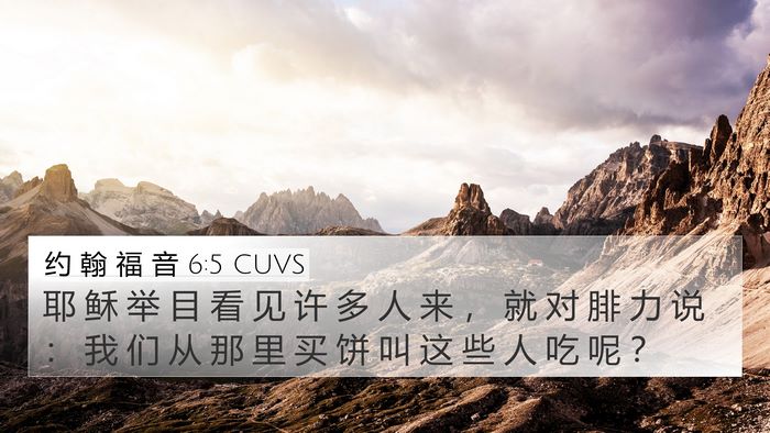 约 翰 福 音 6:5 CUVS Bible Verse Image