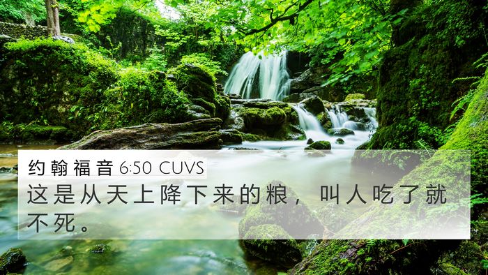 约 翰 福 音 6:50 CUVS Bible Verse Image