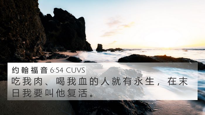 约 翰 福 音 6:54 CUVS 4K Wallpaper - 吃 我 肉 、 喝 我 血 的 人 就 有 永 - 4K Wallpaper Bible Verse