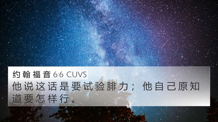约 翰 福 音 6:6 CUVS Bible Verse Image