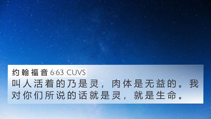 约 翰 福 音 6:63 CUVS Bible Verse Image