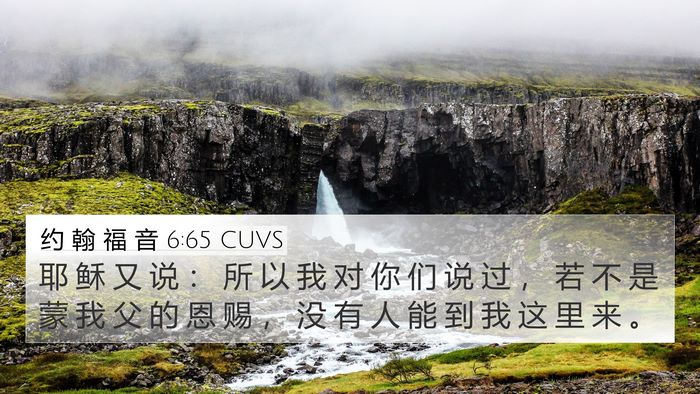 约 翰 福 音 6:65 CUVS Bible Verse Image