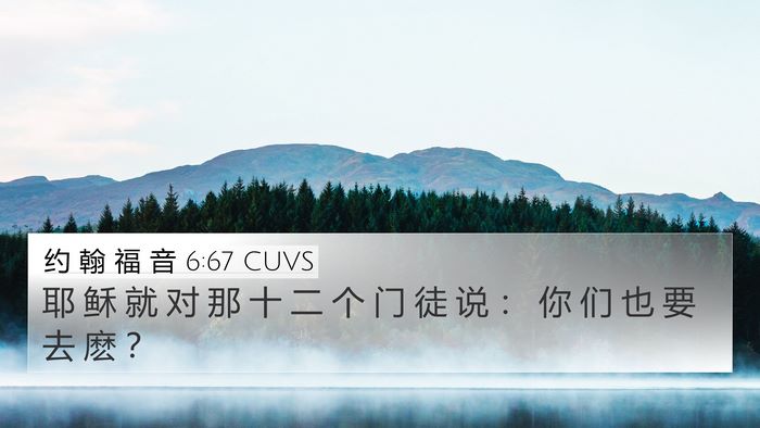约 翰 福 音 6:67 CUVS Bible Verse Image