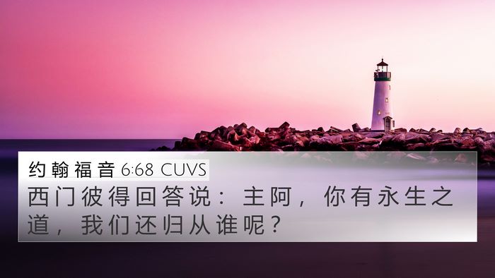 约 翰 福 音 6:68 CUVS Bible Verse Image